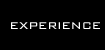 Experience